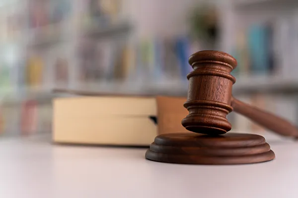 裁判手続きイメージ